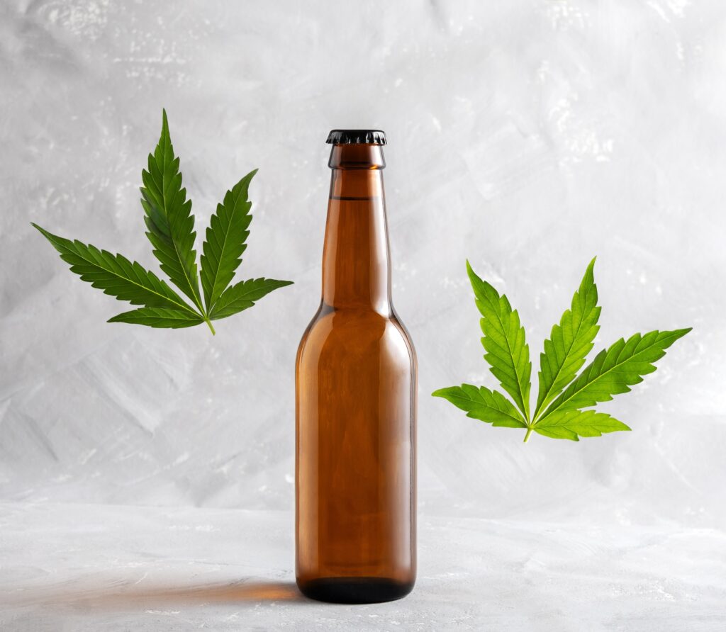 Bottle of beer and levitating green cannabis leaves on gray background.